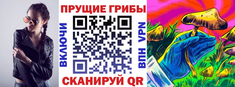 Купить где  Избербаш  Галлюциногенные грибы GOLDEN TEACHER 